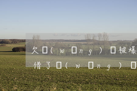 欠網(wǎng)貸被爆通訊錄可以報警嗎(借了網(wǎng)貸被爆通訊錄,可以報警嗎)