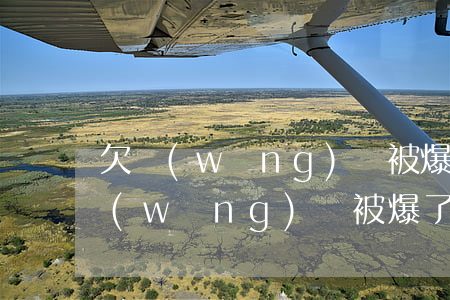 欠網(wǎng)貸被爆通訊錄還還錢嗎(網(wǎng)貸被爆了通訊錄還要還款嗎?)