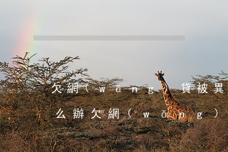 欠網(wǎng)貸被異地起訴不能出庭怎么辦(欠網(wǎng)貸可以異地起訴嗎)