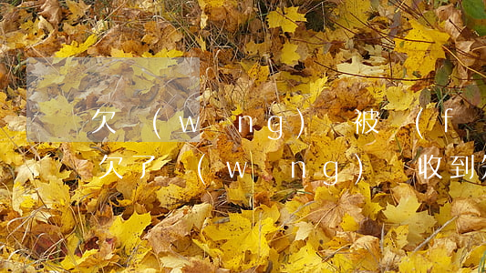 欠網(wǎng)貸被發(fā)辱罵短信(欠了網(wǎng)貸收到短信說要被起訴)