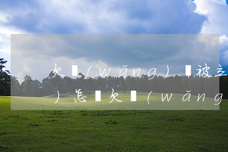 欠網(wǎng)貸被立案后果會(huì)怎樣(欠網(wǎng)貸被起訴立案后會(huì)怎樣)