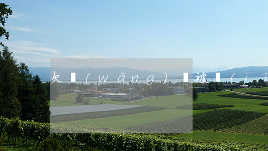 欠網(wǎng)貸被經(jīng)偵