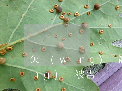 欠網(wǎng)貸被缺席起訴(欠網(wǎng)貸被告)