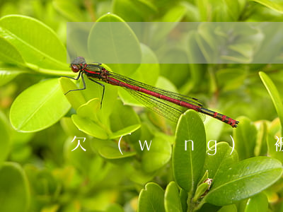 欠網(wǎng)貸被裕隆律所起訴怎么辦