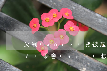欠網(wǎng)貸被起訴不出庭結(jié)果會(huì)怎樣-欠網(wǎng)貸被起訴不出庭結(jié)果會(huì)怎樣呢