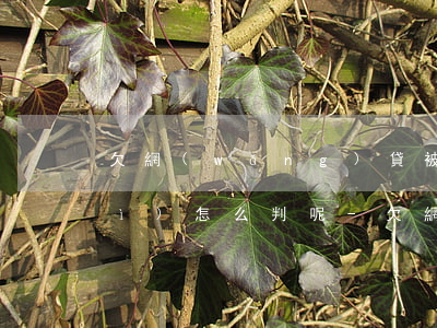 欠網(wǎng)貸被起訴了一般會(huì)怎么判呢-欠網(wǎng)貸被起訴了一般會(huì)怎么判呢知乎