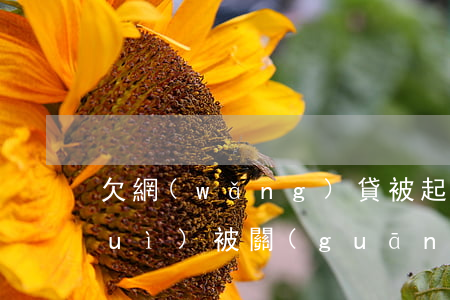 欠網(wǎng)貸被起訴了信用卡會(huì)被關(guān)掉嗎-欠網(wǎng)貸被起訴了信用卡會(huì)被關(guān)掉嗎知乎