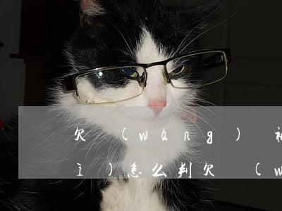 欠網(wǎng)貸被起訴了法院會(huì)怎么判(欠網(wǎng)貸會(huì)被法院起訴嗎)