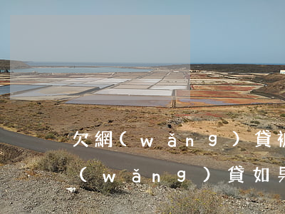 欠網(wǎng)貸被起訴了該怎么辦(欠網(wǎng)貸如果被起訴了款還了可以嗎)