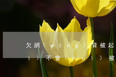 欠網(wǎng)貸被起訴信用卡會(huì)不會(huì)被停(欠網(wǎng)貸信用卡多久會(huì)被起訴)