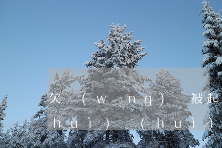 欠網(wǎng)貸被起訴到仲裁委員會(huì)會(huì)怎樣-欠網(wǎng)貸被起訴到仲裁委員會(huì)會(huì)怎樣處理