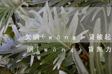 欠網(wǎng)貸被起訴后也無力償還(欠網(wǎng)貸無力償還被起訴了怎么辦)