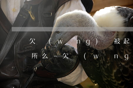 欠網(wǎng)貸被起訴后可以去休閑會所么-欠網(wǎng)貸被起訴后可以去休閑會所么