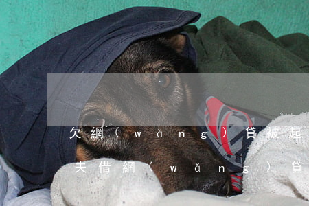 欠網(wǎng)貸被起訴后影響配偶嗎(丈夫借網(wǎng)貸還不上被起訴到法院妻子會受牽連嗎)