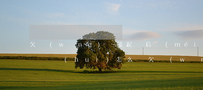 欠網(wǎng)貸被起訴后沒(méi)錢還會(huì)怎么樣(欠網(wǎng)貸被起訴后沒(méi)錢還會(huì)怎么樣)