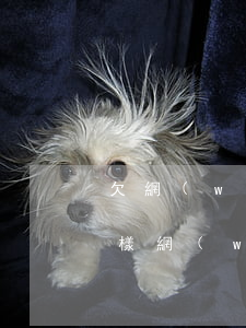 欠網(wǎng)貸被起訴后沒錢還會怎么樣(網(wǎng)貸沒還會被起訴嗎)