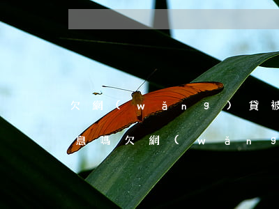 欠網(wǎng)貸被起訴后還款能減免利息嗎(欠網(wǎng)貸被起訴后還款能減免利息嗎)