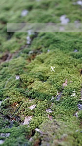 欠網(wǎng)貸被起訴在哪開(kāi)庭(欠網(wǎng)貸會(huì)開(kāi)庭嗎)