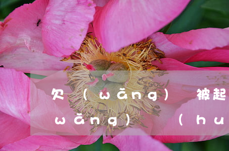 欠網(wǎng)貸被起訴在哪開庭(欠網(wǎng)貸會(huì)開庭嗎)