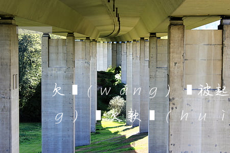 欠網(wǎng)貸被起訴坐牢(網(wǎng)貸欠款會(huì)被起訴嗎)