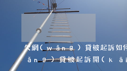 欠網(wǎng)貸被起訴如何撤訴(網(wǎng)貸被起訴開(kāi)庭前還清欠款能撤訴嗎)