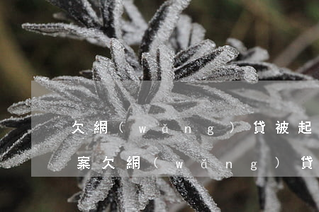 欠網(wǎng)貸被起訴已結(jié)案(欠網(wǎng)貸起訴了怎么辦)