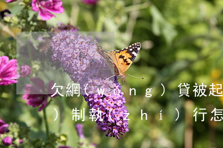 欠網(wǎng)貸被起訴強(qiáng)制執(zhí)行怎么辦(網(wǎng)貸欠款被起訴一定被執(zhí)行嗎)
