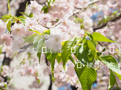 欠網(wǎng)貸被起訴怎么了(欠網(wǎng)貸被法院起訴怎么辦)