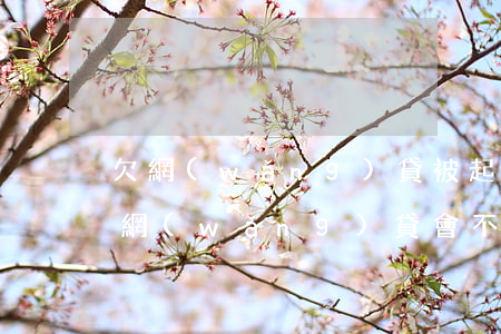 欠網(wǎng)貸被起訴成老賴怎么辦(欠網(wǎng)貸會不會成老賴)