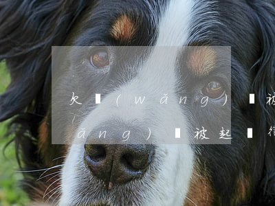 欠網(wǎng)貸被起訴找律師(欠網(wǎng)貸被起訴律師費(fèi)誰承擔(dān))