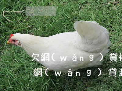 欠網(wǎng)貸被起訴敗訴后怎么辦(被網(wǎng)貸起訴敗訴了會(huì)怎么樣)