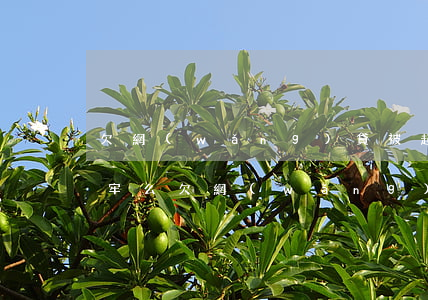 欠網(wǎng)貸被起訴會(huì)坐牢么(欠網(wǎng)貸會(huì)坐牢?)