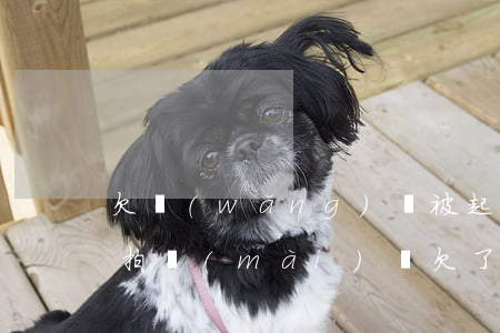 欠網(wǎng)貸被起訴會(huì)被拍賣(mài)嗎(欠了網(wǎng)貸會(huì)被起訴嗎)