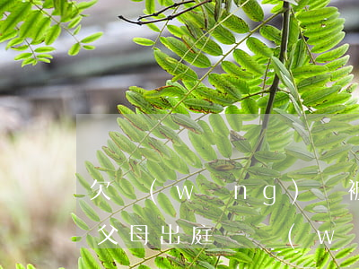 欠網(wǎng)貸被起訴會(huì)讓父母出庭嗎(網(wǎng)貸逾期父母也會(huì)成為被告嗎)