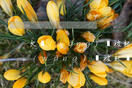 欠網(wǎng)貸被起訴會成老賴嗎(欠網(wǎng)貸被起訴會成老賴嗎)