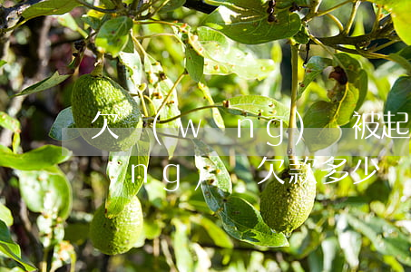 欠網(wǎng)貸被起訴會罰款嗎(網(wǎng)貸欠款多少錢會被起訴)