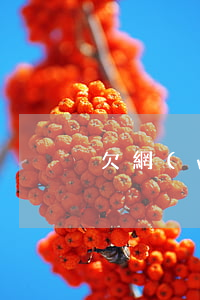 欠網(wǎng)貸被起訴會能調解嗎