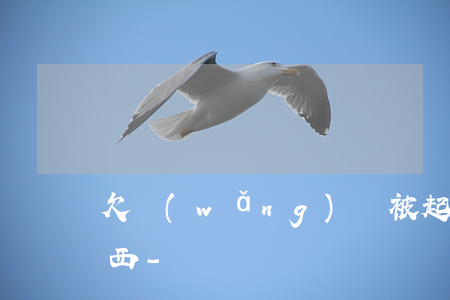 欠網(wǎng)貸被起訴會被凍結哪些東西-