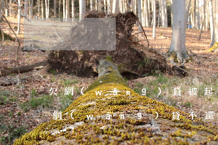欠網(wǎng)貸被起訴會被拍賣房子嗎(網(wǎng)貸不還會不會拍賣房子)