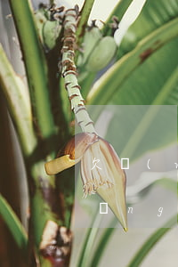 欠網(wǎng)貸被起訴 民事訴訟(網(wǎng)貸欠款被起訴)