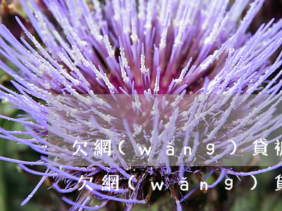 欠網(wǎng)貸被起訴無力償還怎么辦(欠網(wǎng)貸起訴了還沒有能力償還怎么辦)