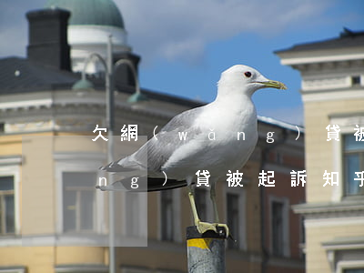 欠網(wǎng)貸被起訴知乎(欠網(wǎng)貸被起訴知乎)