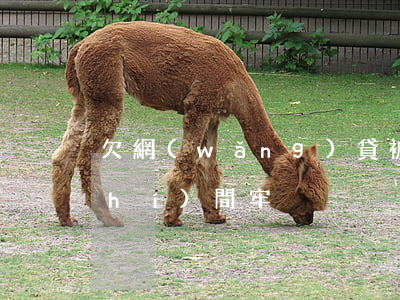 欠網(wǎng)貸被起訴要做多長時(shí)間牢