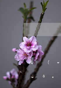 欠網(wǎng)貸被起訴要罰款嗎(欠網(wǎng)貸會被起訴么)