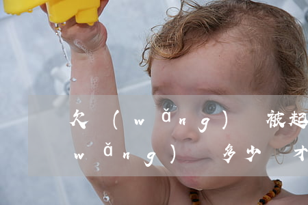 欠網(wǎng)貸被起訴要還多少(欠網(wǎng)貸多少錢才會被起訴)