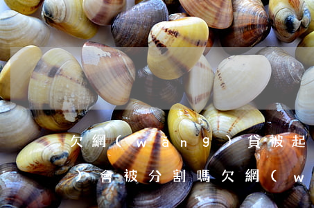 欠網(wǎng)貸被起訴財產(chǎn)會被分割嗎(欠網(wǎng)貸會被法院起訴嗎)