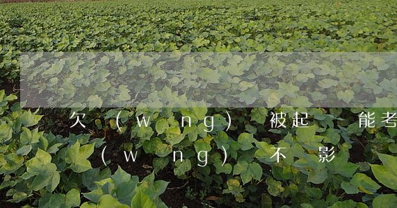 欠網(wǎng)貸被起訴還能考駕駛證嗎(網(wǎng)貸不還影響駕駛證嗎)
