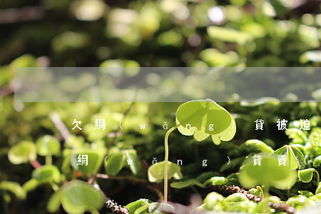 欠網(wǎng)貸被迫賣(mài)房(欠網(wǎng)貸賣(mài)房有影響嗎)
