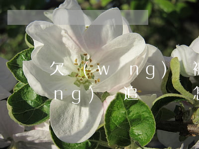 欠網(wǎng)貸被追債怎么辦(網(wǎng)貸追債電話怎么辦)