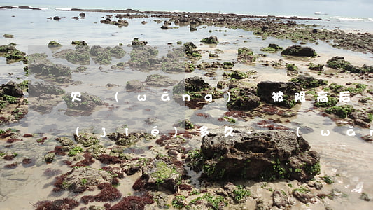 欠網(wǎng)貸被限高后銀行卡會凍結(jié)多久-網(wǎng)貸被限高怎么還錢